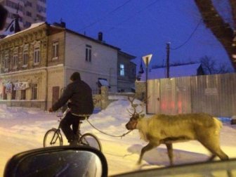 Everyday Life In Russia Is A Little Too Extreme For Most People