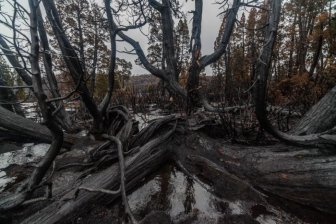 The Island Of Tasmania Has Been Damaged After Fires Burned For A Week
