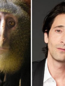 Celebrities Side By Side With Their Animal Doppelgangers