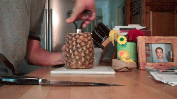 Pictures And Gifs That Reached For Perfection And Delivered
