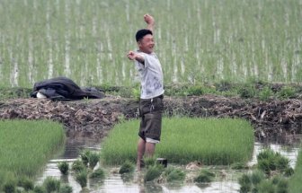 An Honest Look At Life On The Ground In North Korea