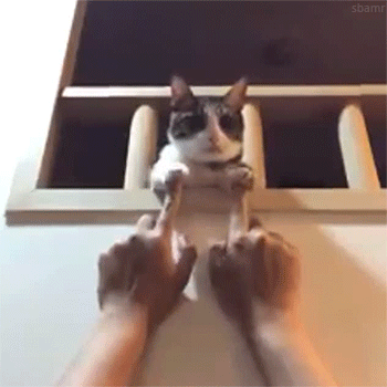 Daily GIFs Mix, part 793