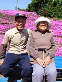 Chinese Man Creates Giant Flower Garden For His Blind Wife