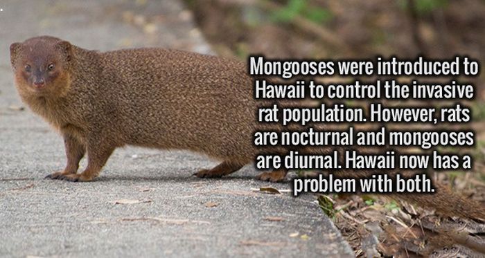 Prepare To Be Shocked By These Surprising Facts