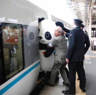 Unusual Occurrences That Could Only Happen In Japan