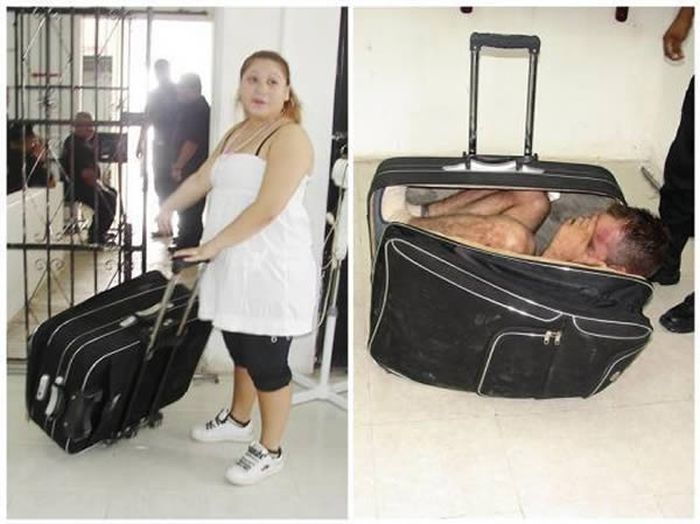 9 Times When People Failed To Smuggle Items Across Boarders