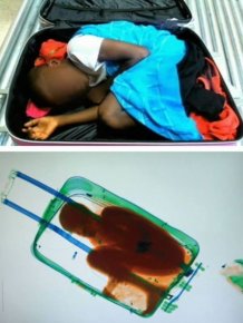9 Times When People Failed To Smuggle Items Across Boarders