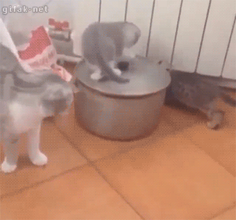 Daily GIFs Mix, part 796