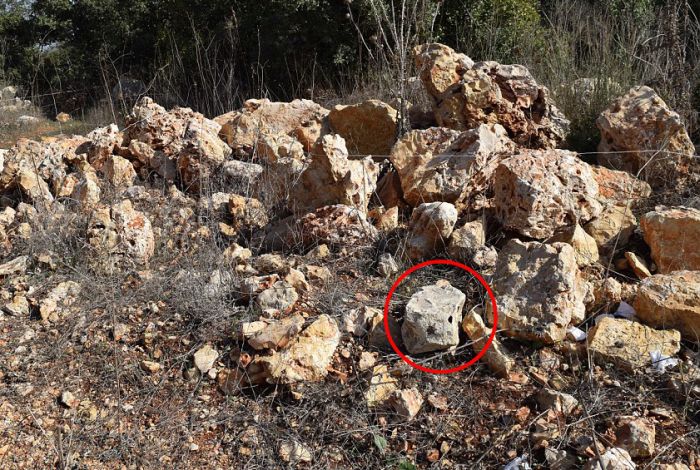 Can You Figure Out Which One Of These Rocks Is Actually A Bomb?