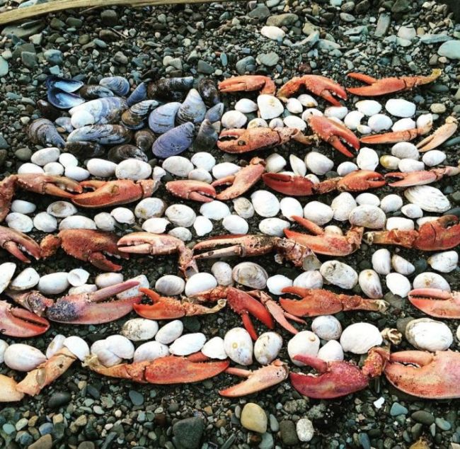 23 Strange And Rare Items People Found On The Beach