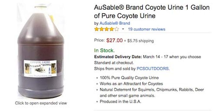 The Top 10 Craziest Items That Amazon Actually Sells In Bulk