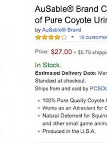 The Top 10 Craziest Items That Amazon Actually Sells In Bulk
