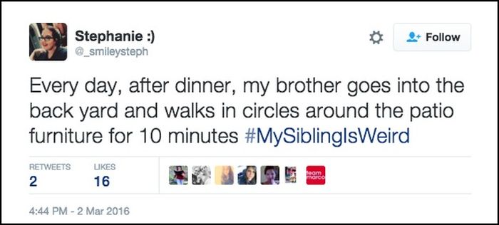 Jimmy Fallon's Viewers Share Strange Stories About Their SIblings