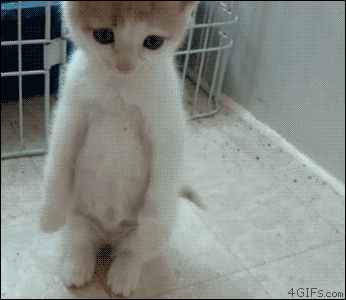 Daily GIFs Mix, part 799
