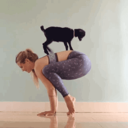 Daily GIFs Mix, part 799
