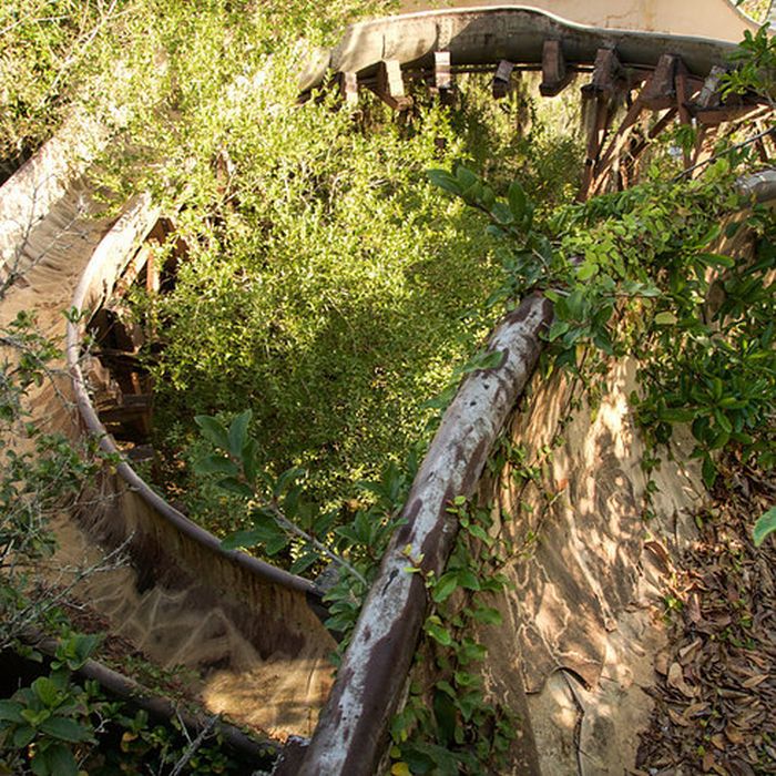 Disney's Abandoned Water Park Is Far From The Happiest Place On Earth
