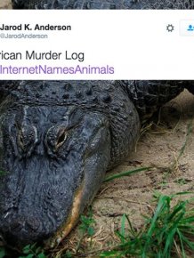 Animals Get New Names Courtesy Of The Internet