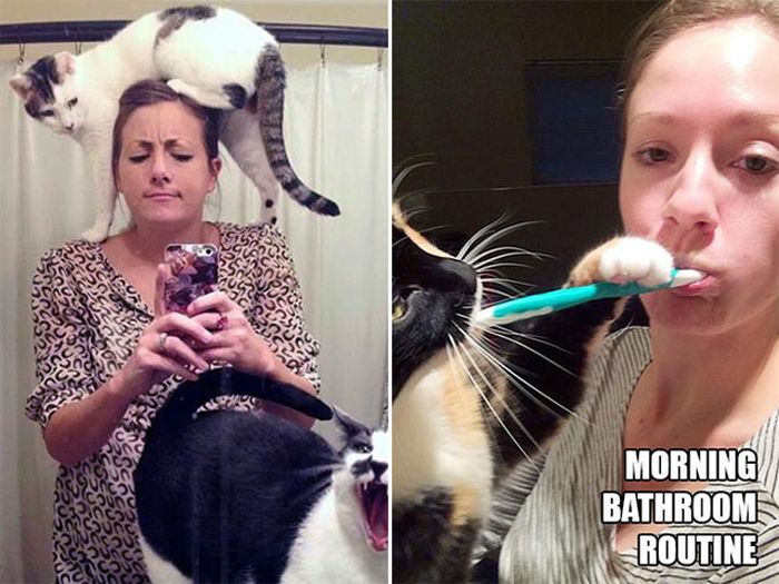 Magical Moments That All Cat Owners Can Relate To