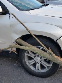Large SUV Gets Penetrated By A Big Wooden Stick