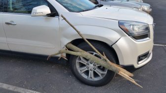 Large SUV Gets Penetrated By A Big Wooden Stick