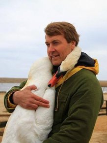 Even Swans Like To Hug When The Time Is Right