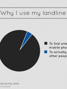 Helpful Pie Charts That Are Both Hilarious And True
