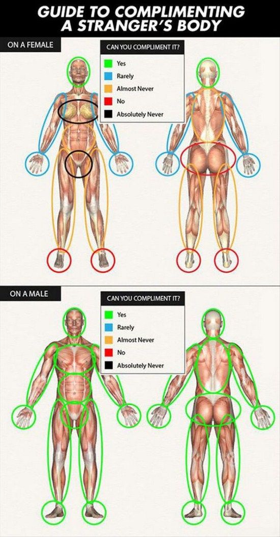 What is the Difference Between Male and Man 