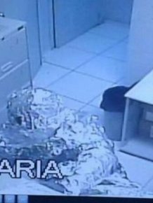 Thieves Dress Up In Tin Foil Before Robbing A Bank
