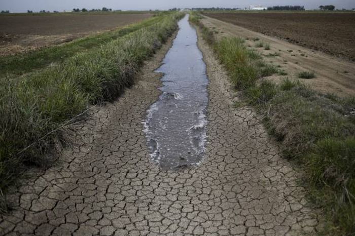 Experts Are Saying California Is Experiencing Its Worst Drought In 1,200 Years