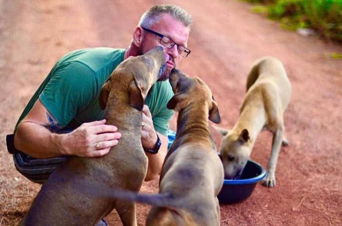 Every Single Day This Man Feeds 80 Stray Dogs In Thailand