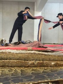 Chinese Authorities Bust Smugglers Trying To Move 25,000 Python Skins