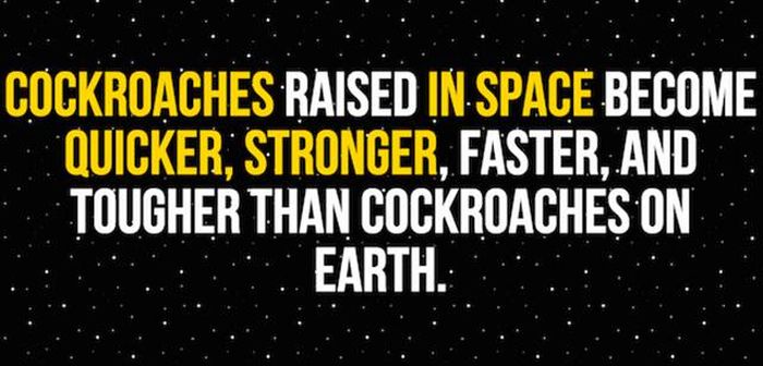 Cool Facts And Interesting Information About Outer Space