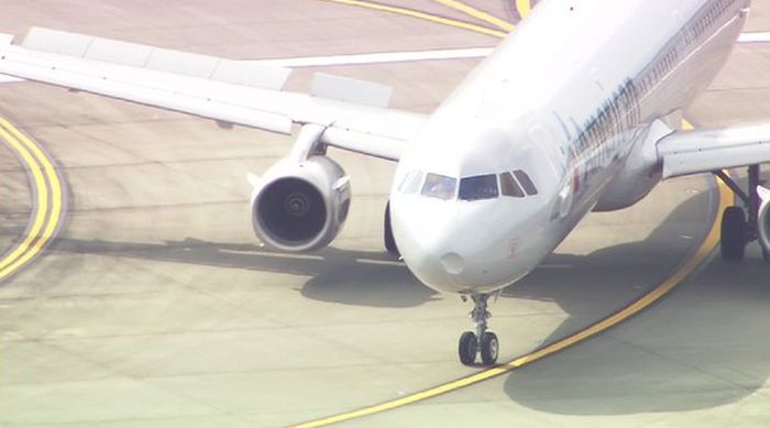 American Airlines Flight Makes Emergency Landing After Hitting A Flock Of Birds