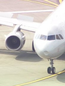 American Airlines Flight Makes Emergency Landing After Hitting A Flock Of Birds