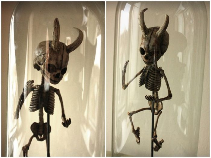 Old Bodies From Strange Creatures Were Discovered In A London Basement