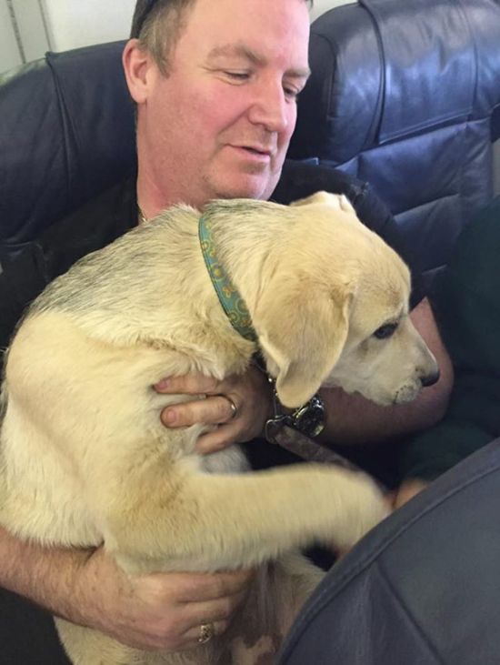 Canadian North Airlines Is Letting People Fly With Their Pets