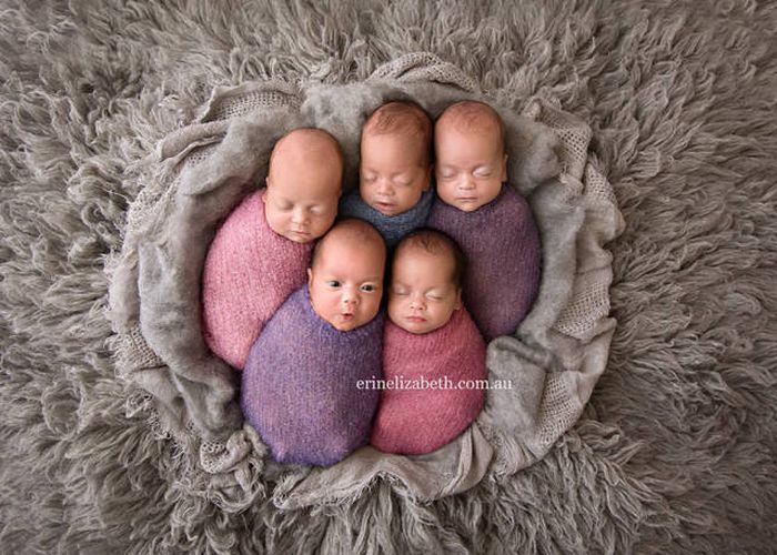 Baby Quintuplets Pose For The Most Adorable Photoshoot Ever