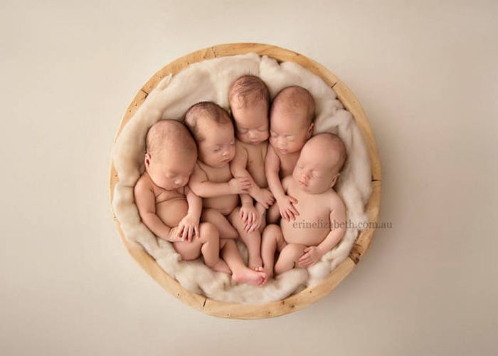 Baby Quintuplets Pose For The Most Adorable Photoshoot Ever
