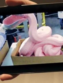 See How McDonald's Makes Their World Famous Chicken McNuggets