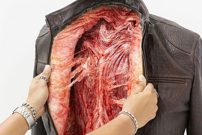 PETA Uses Fake Leather Clothes To Send A Strong Message