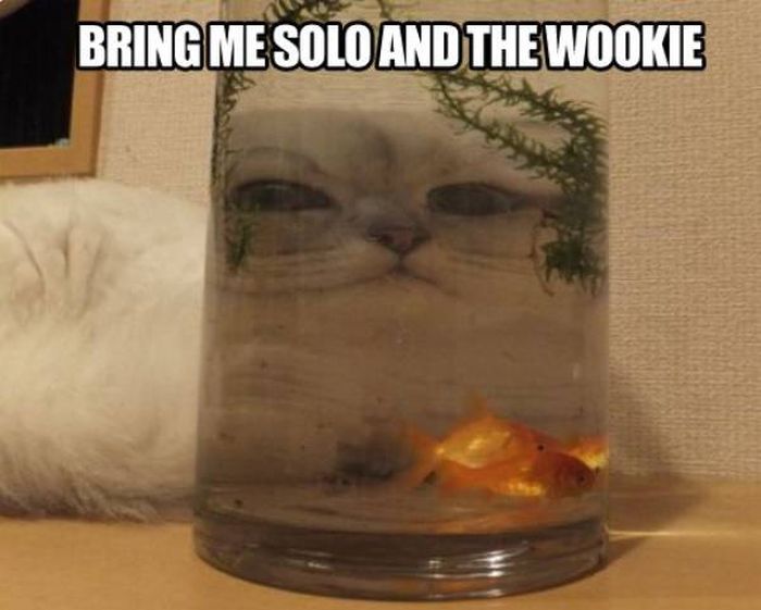 Amusing Memes That Will Hit The Spot And Tickle Your Funny Bone Fun