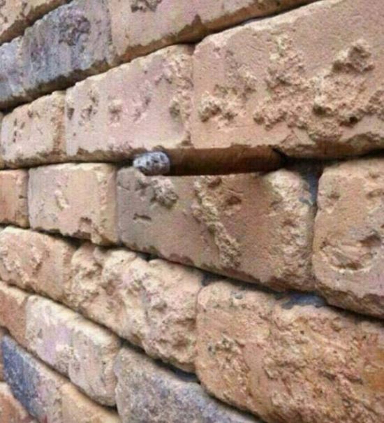 See If You Can Spot The Optical Illusion That's Hiding In Plain Sight
