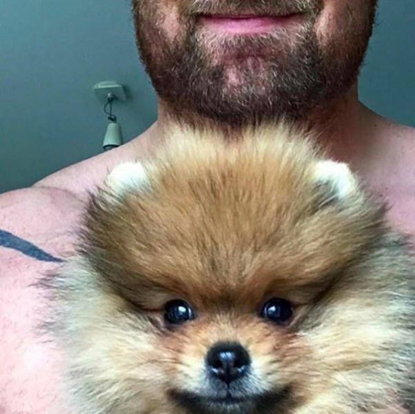 The Mountain From Game Of Thrones Adores His Tiny Little Dog