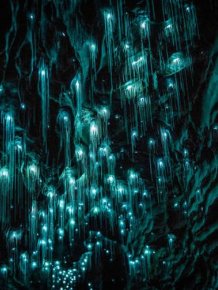 Glow Worms Make The Waitomo Caves A Magical Place To Visit