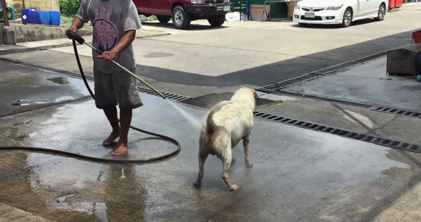 Daily GIFs Mix, part 801