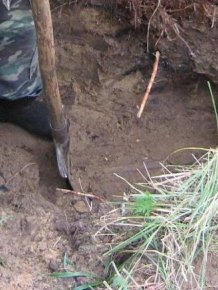 Russian Volunteers Find Items Buried On An Old World War II Battlfield