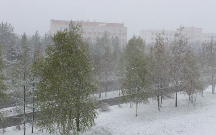 Northern Russia Gets Fresh Snow On The First Day Of Summer