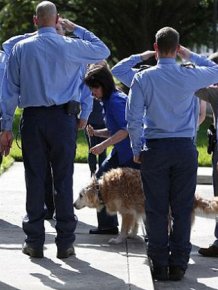 The Last Surviving Search Dog From 9/11 Has Passed Away