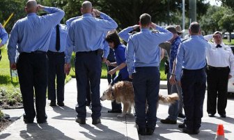 The Last Surviving Search Dog From 9/11 Has Passed Away