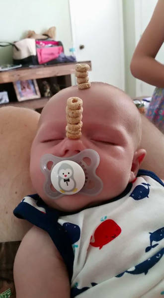 Fathers Enter Their Babies Into The Cheerios Stacking Challenge